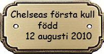 Till Chelseas frsta kull