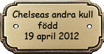 Till Chelseas andra kull