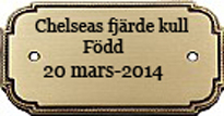 Till Chelseas fjrde kull