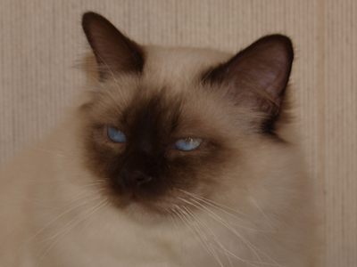 Billy
